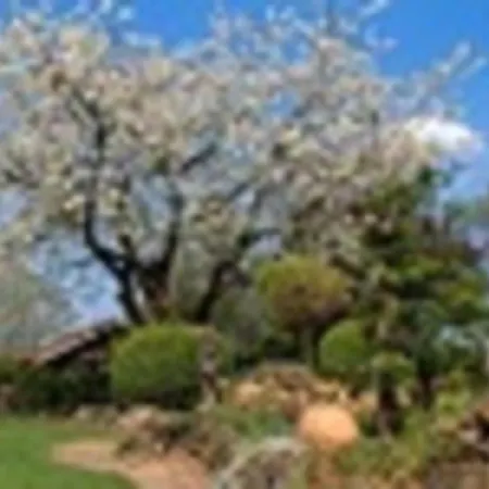 Familienhof Bruening - Gartenblick Apartamento