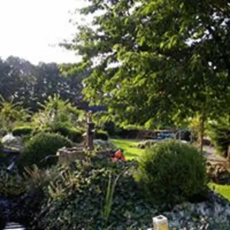 Familienhof Bruening - Gartenblick *